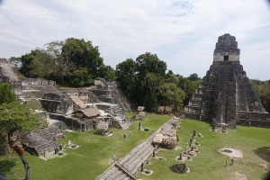 Tikal 6